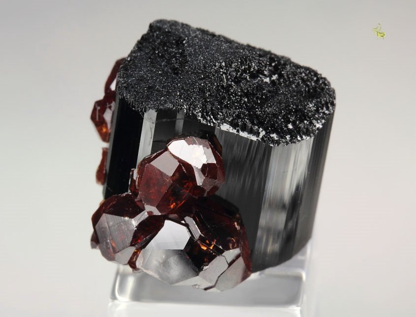 gem GARNET var. SPESSARTINE, TOURMALINE var. SCHORL