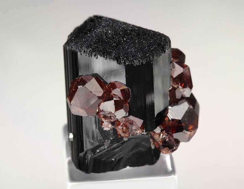 gem GARNET var. SPESSARTINE, TOURMALINE var. SCHORL