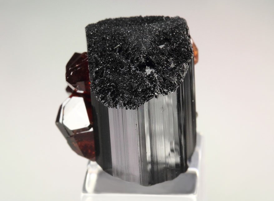 gem GARNET var. SPESSARTINE, TOURMALINE var. SCHORL