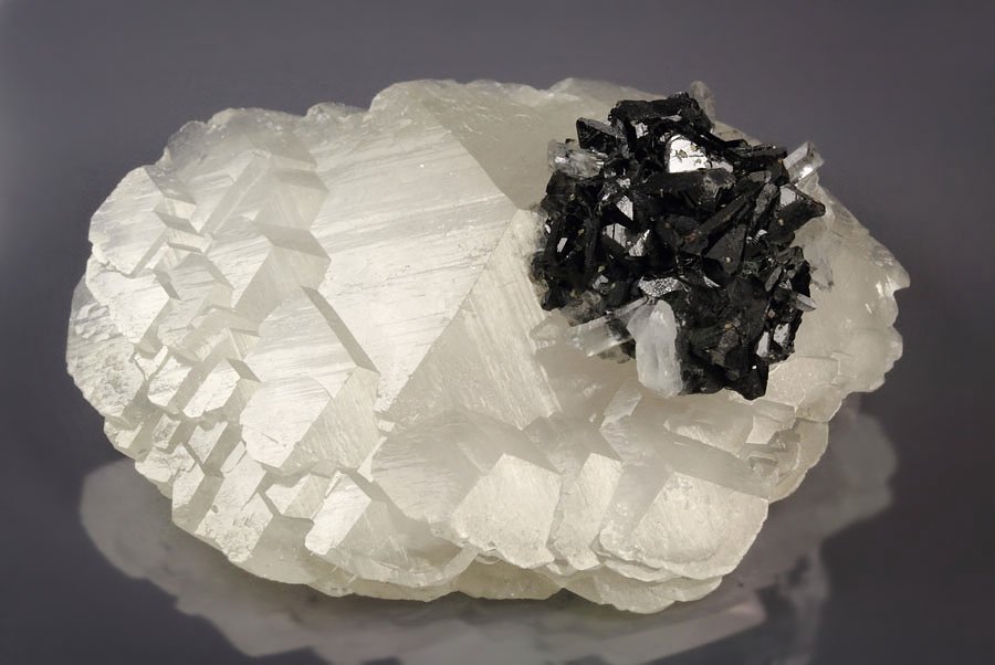 SPHALERITE tetrahedrons, CALCITE, QUARTZ - floater