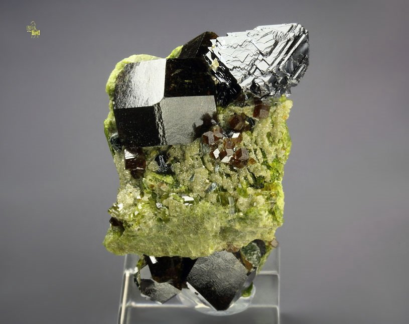 MAGNETITE, gemmy  GARNET var. ANDRADITE, EPIDOTE