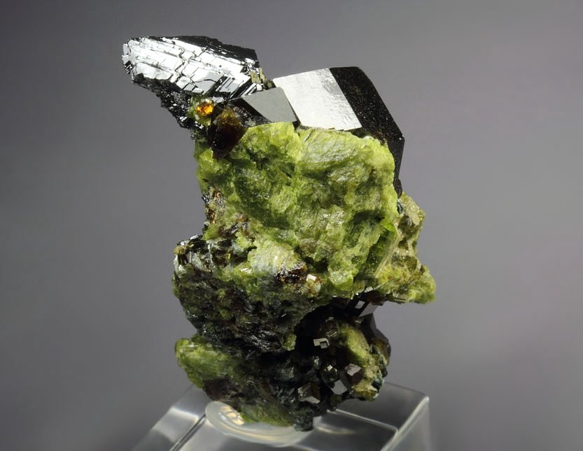 MAGNETITE, gemmy  GARNET var. ANDRADITE, EPIDOTE