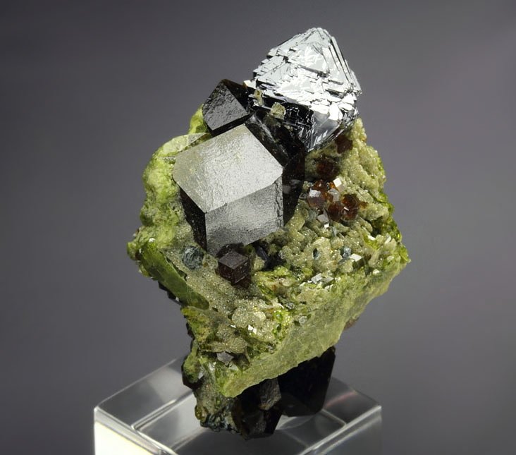 MAGNETITE, gemmy  GARNET var. ANDRADITE, EPIDOTE