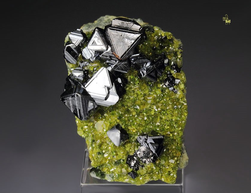 MAGNETITE, gem EPIDOTE, DIOPSIDE