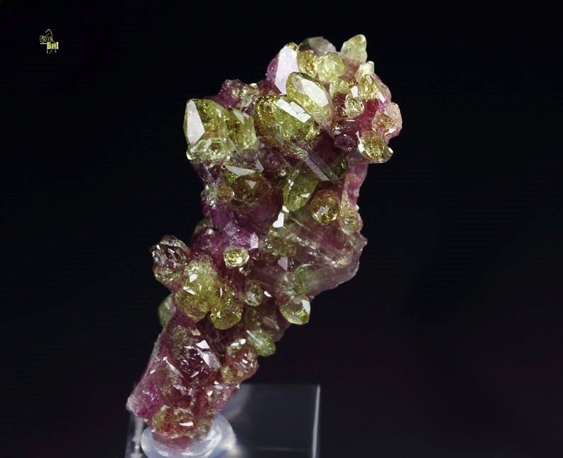 gem bi-terminated VESUVIANITE bi-color