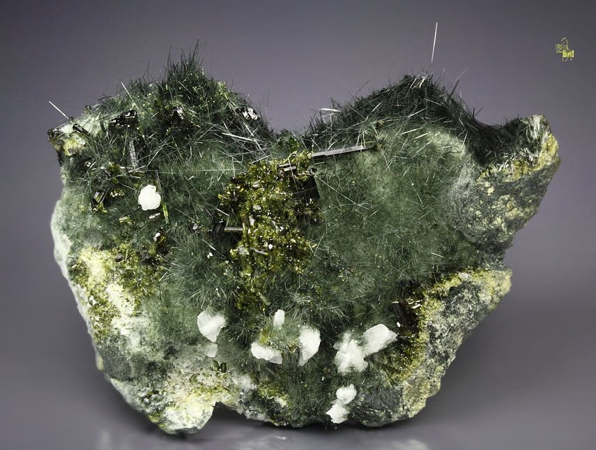 AMPHIBOLE GROUP var. BYSSOLITE, EPIDOTE, ALBITE