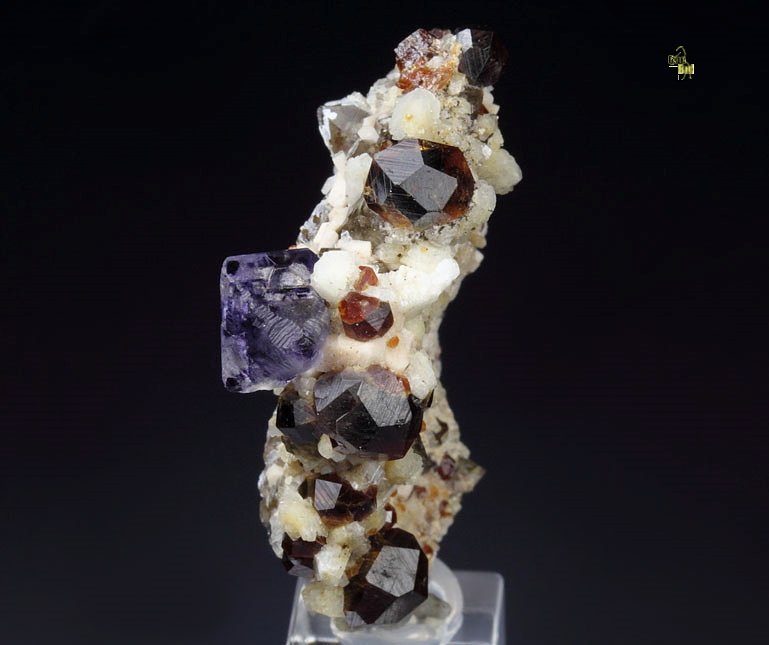 FLUORITE, GARNET var. SPESSARTINE, QUARTZ var. SMOKY, MICROCLINE