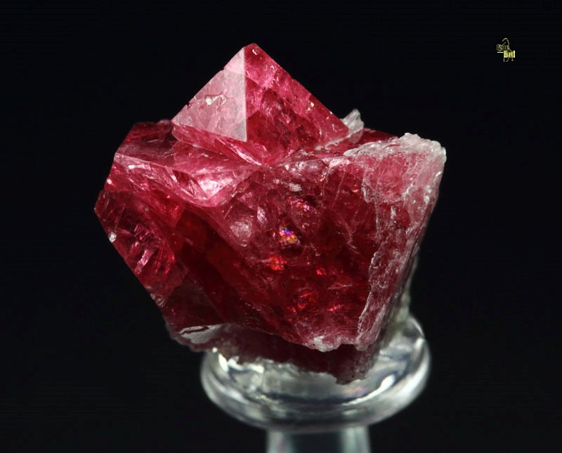 gemmy SPINEL