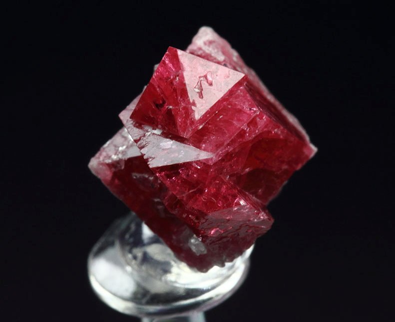 gemmy SPINEL