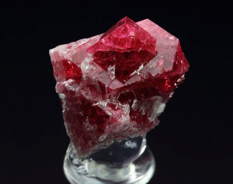 gemmy SPINEL