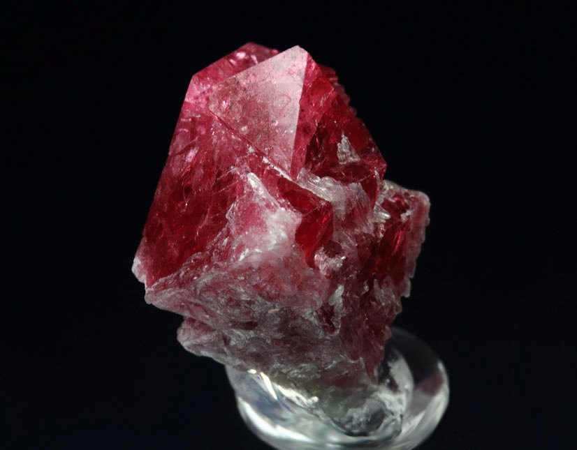 gemmy SPINEL