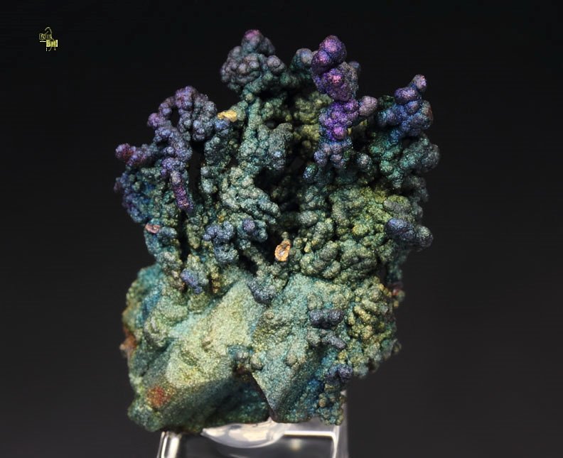 CHALCOCITE, DJURLEITE, iridescent CHALCOPYRITE