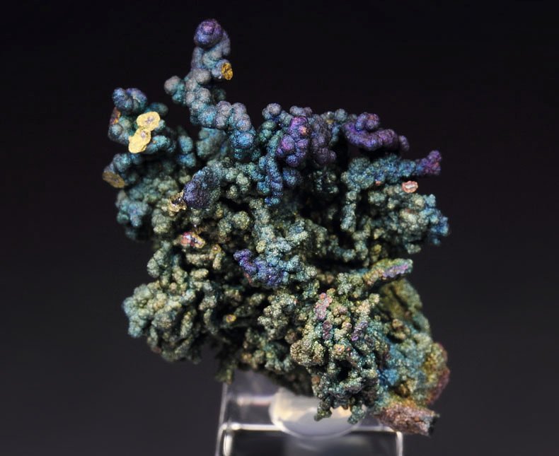 CHALCOCITE, DJURLEITE, iridescent CHALCOPYRITE