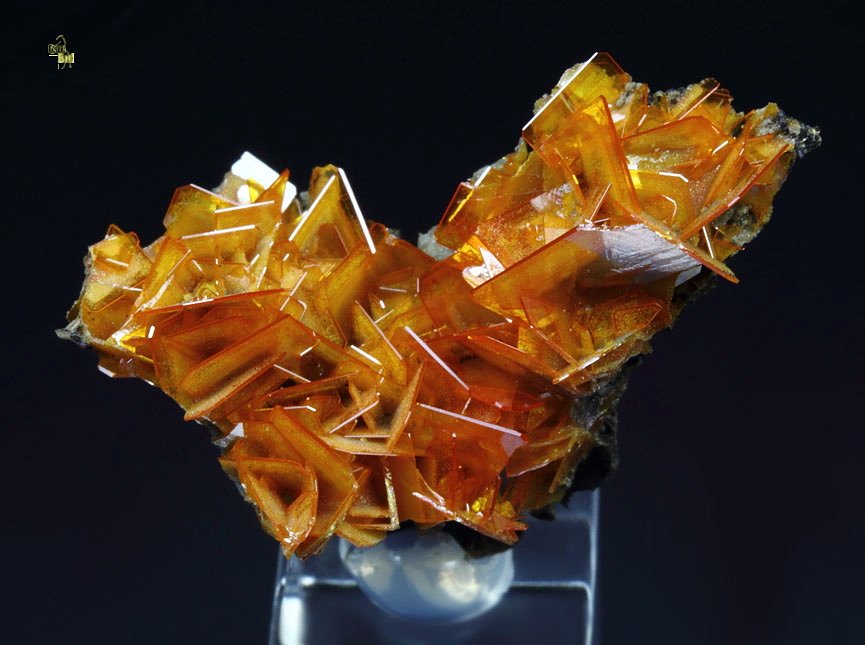 new find - gemmy WULFENITE