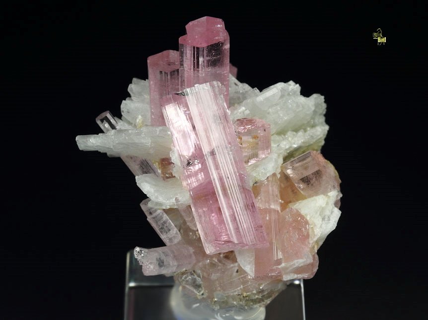 pink gem TOURMALINE var. ELBAITE, ALBITE