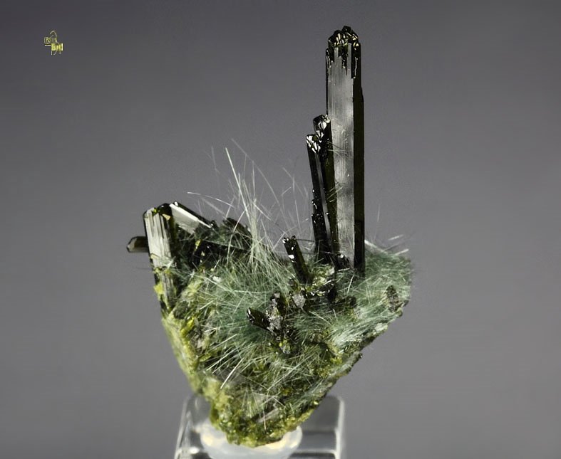 EPIDOTE, AMPHIBOLE GROUP var. BYSSOLITE