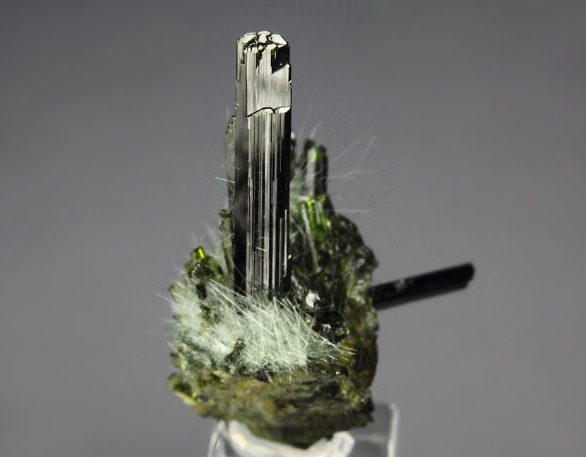 EPIDOTE, AMPHIBOLE GROUP var. BYSSOLITE