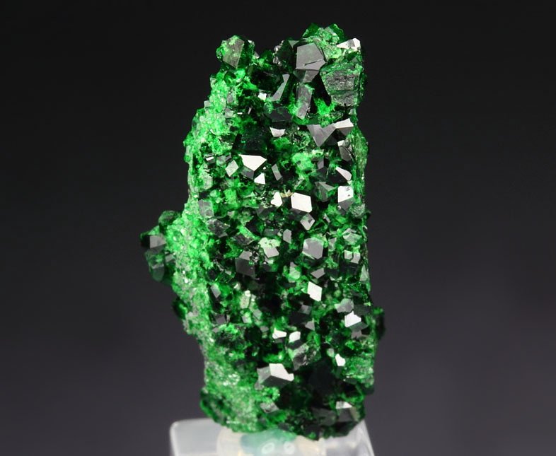 gemmy GARNET var. UVAROVITE