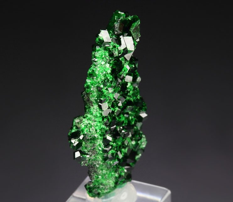 gemmy GARNET var. UVAROVITE