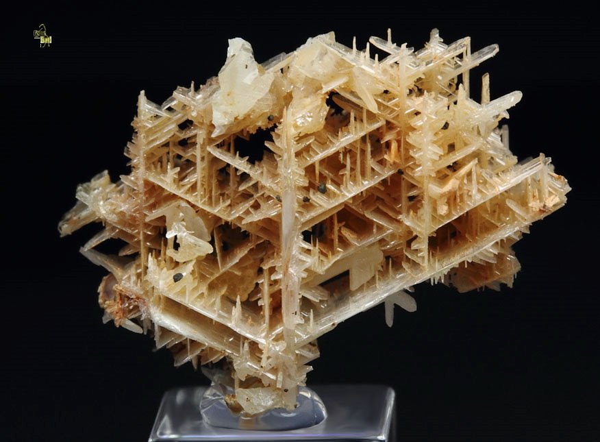 reticulated CERUSSITE