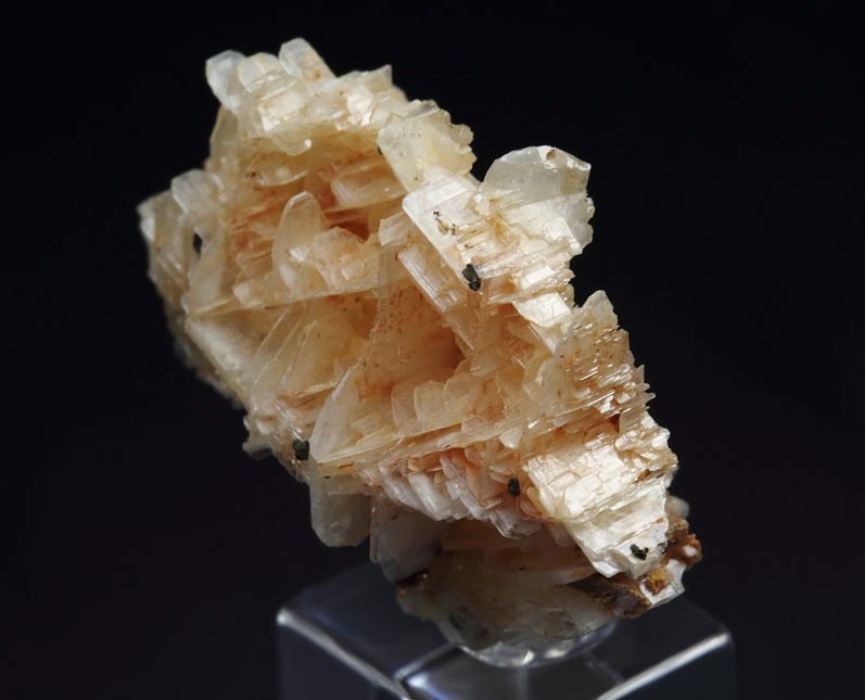 reticulated CERUSSITE