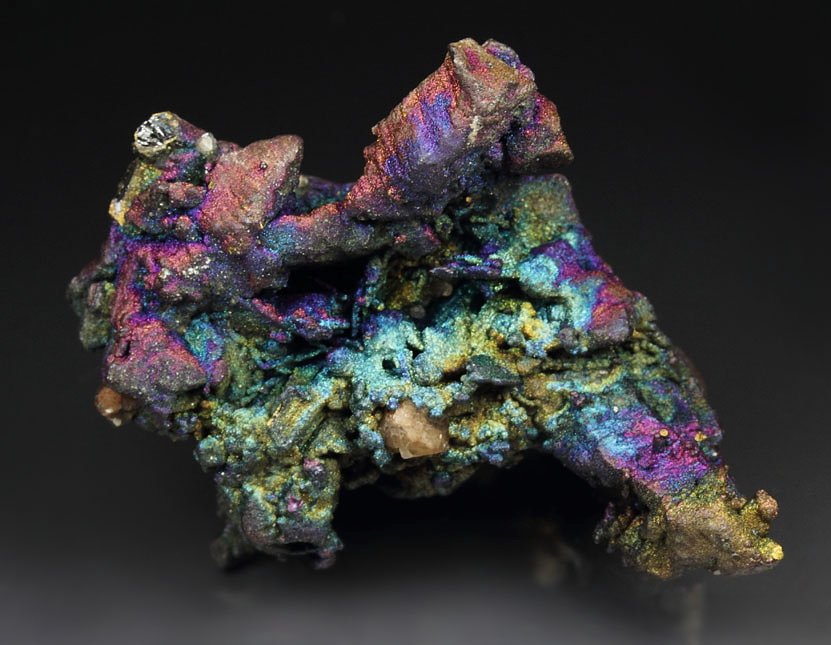 CHALCOCITE, DJURLEITE, iridescent CHALCOPYRITE - floater