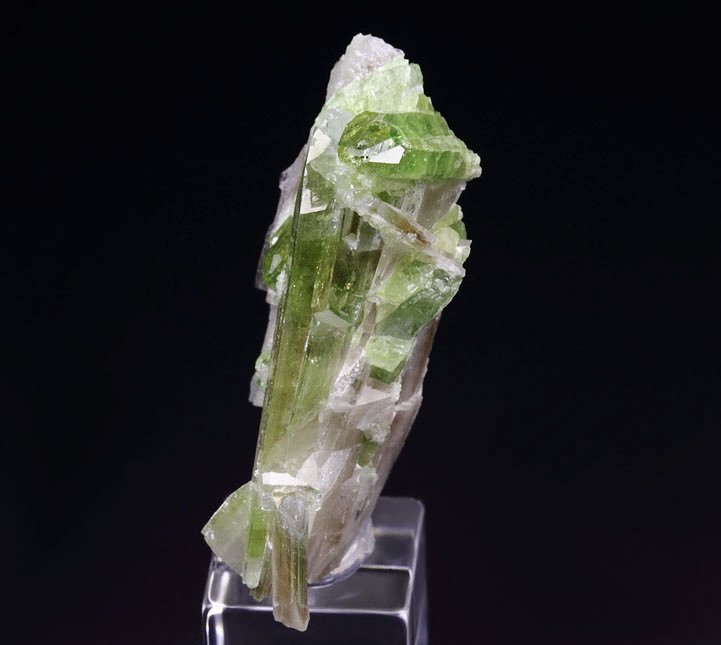 gemmy DIOPSIDE bi-color, VESUVIANITE