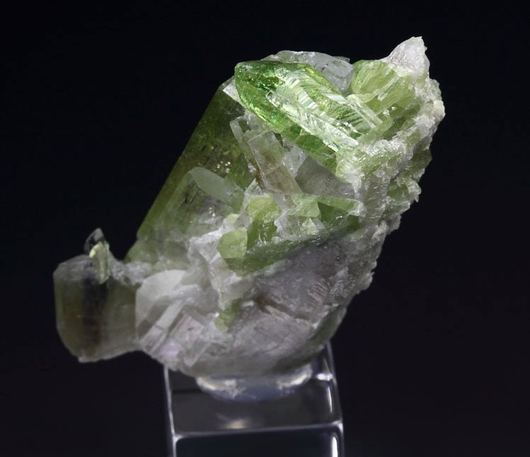 gemmy DIOPSIDE bi-color, VESUVIANITE