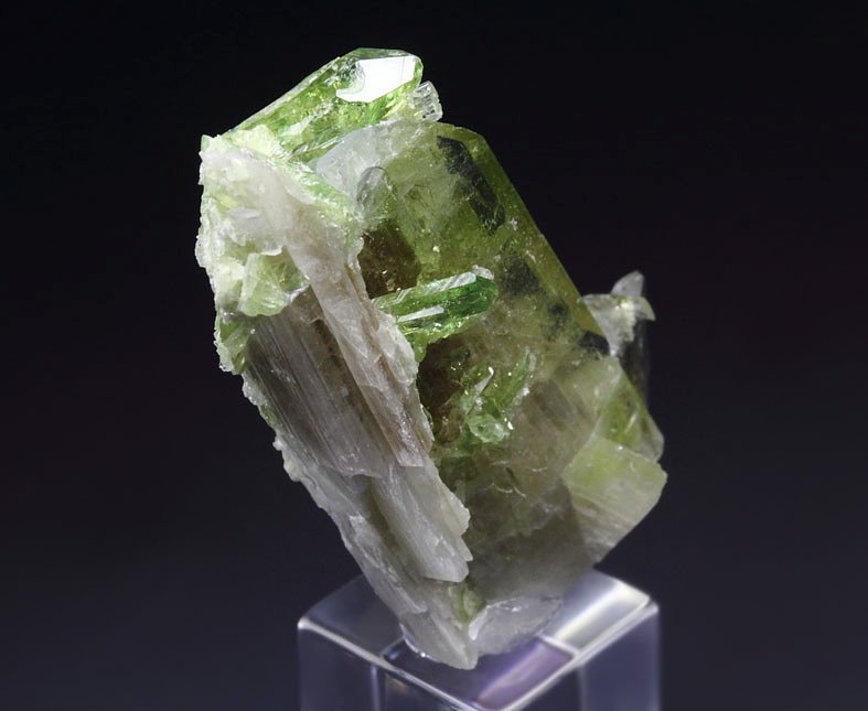 gemmy DIOPSIDE bi-color, VESUVIANITE