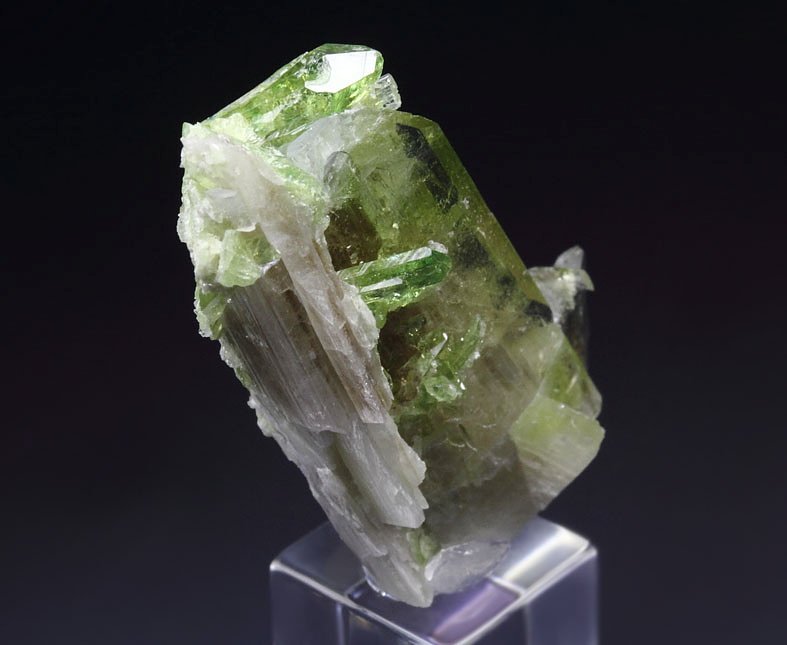 gemmy DIOPSIDE bi-color, VESUVIANITE