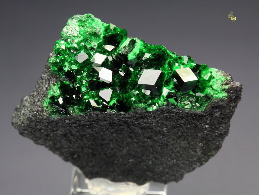 gemmy GARNET var. UVAROVITE