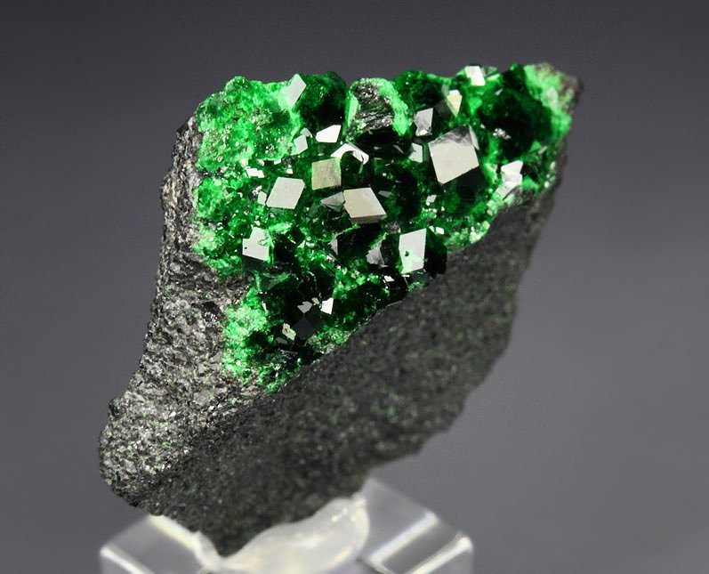 gemmy GARNET var. UVAROVITE