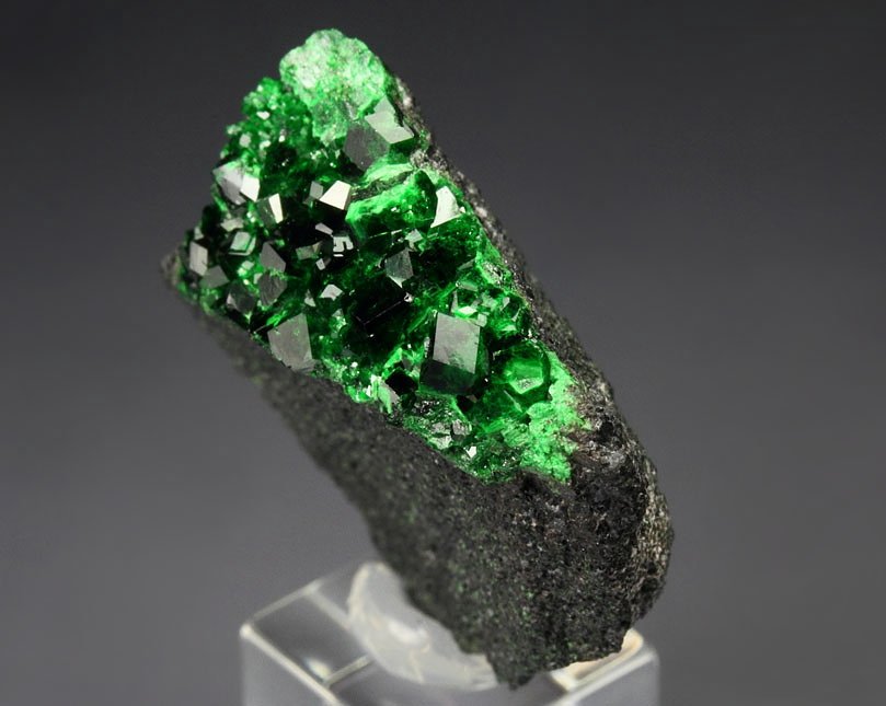 gemmy GARNET var. UVAROVITE