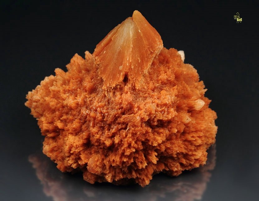 SCOLECITE