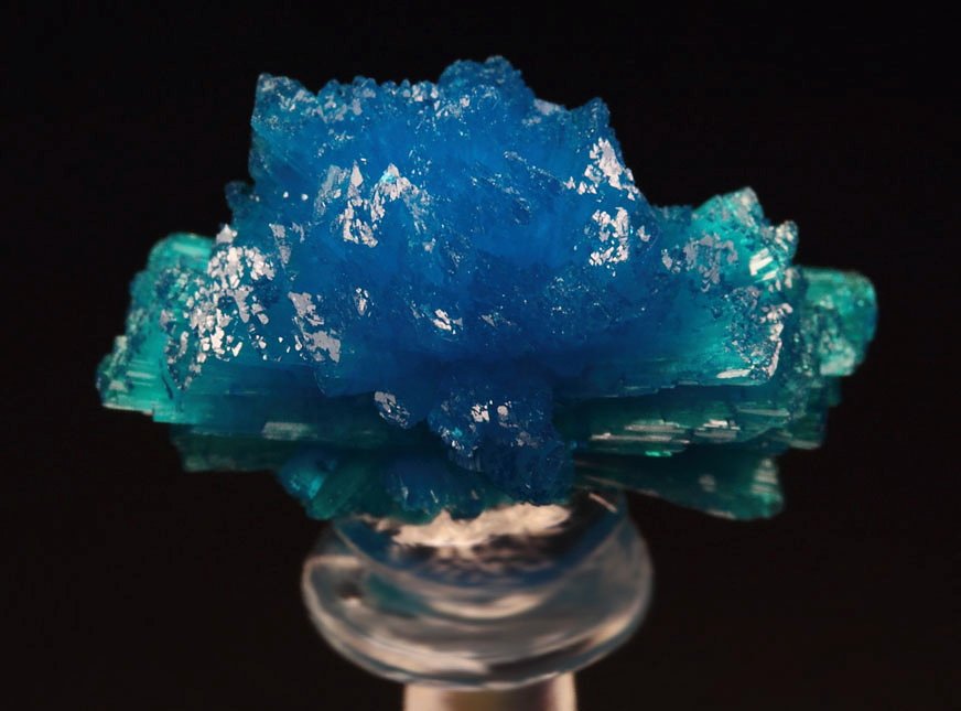 CAVANSITE bow tie