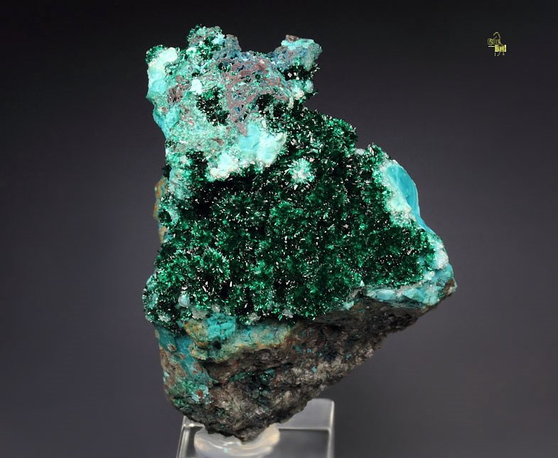 BROCHANTITE, CHRYSOCOLLA