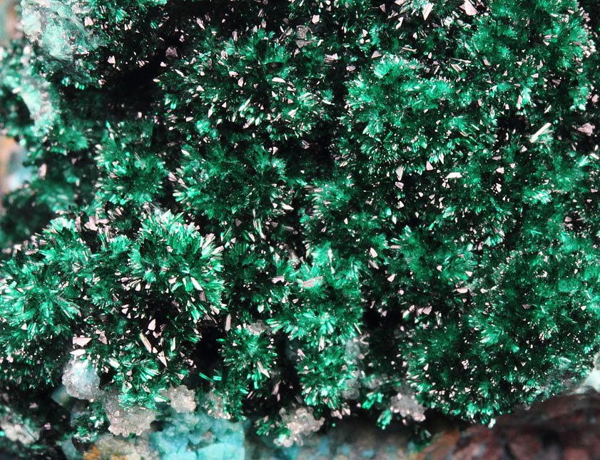 BROCHANTITE, CHRYSOCOLLA