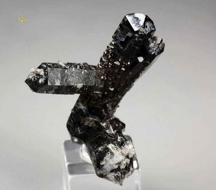 bi-terminated QUARTZ var. SMOKY