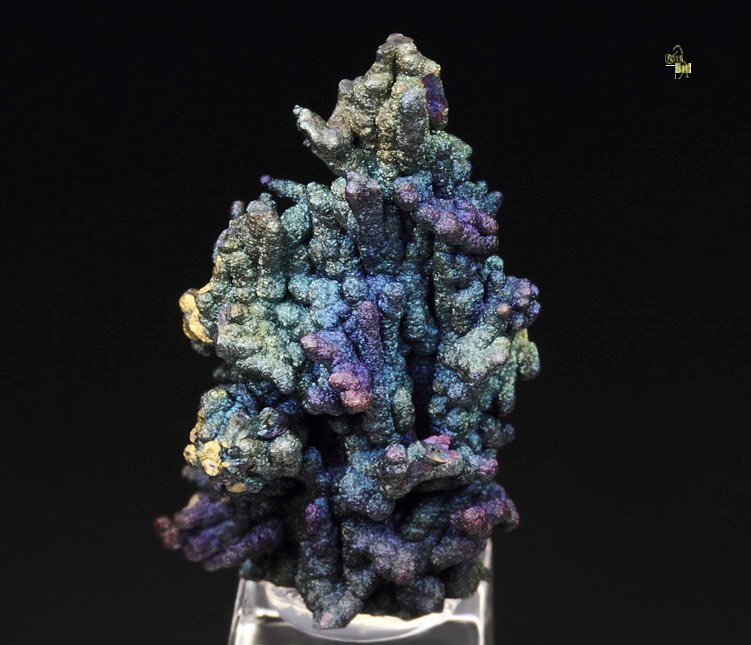 CHALCOCITE, DJURLEITE, iridescent CHALCOPYRITE