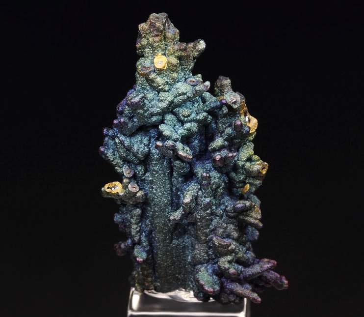 CHALCOCITE, DJURLEITE, iridescent CHALCOPYRITE