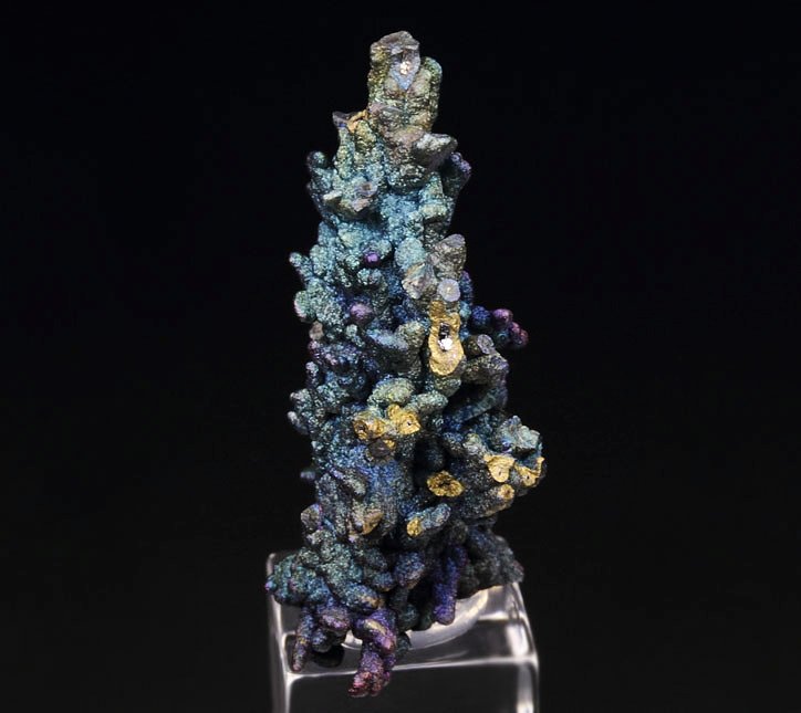 CHALCOCITE, DJURLEITE, iridescent CHALCOPYRITE