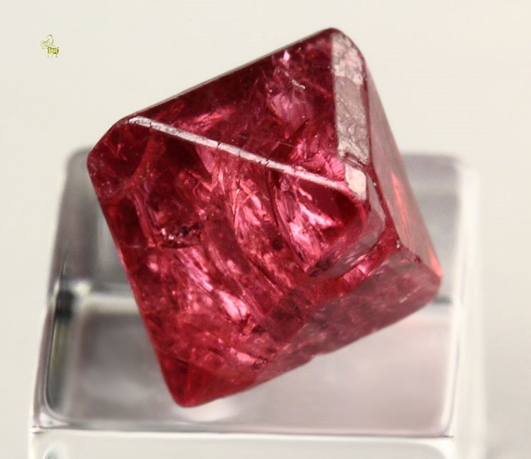 gem SPINEL