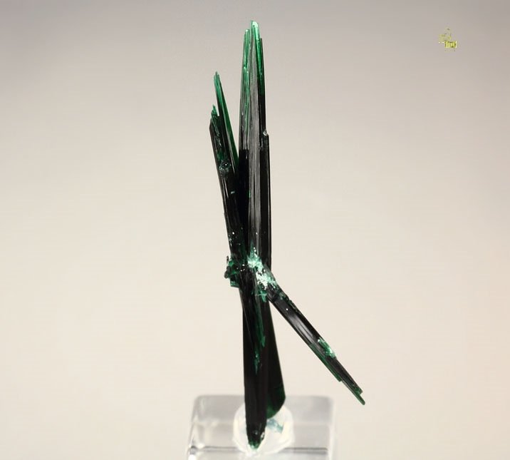 BROCHANTITE