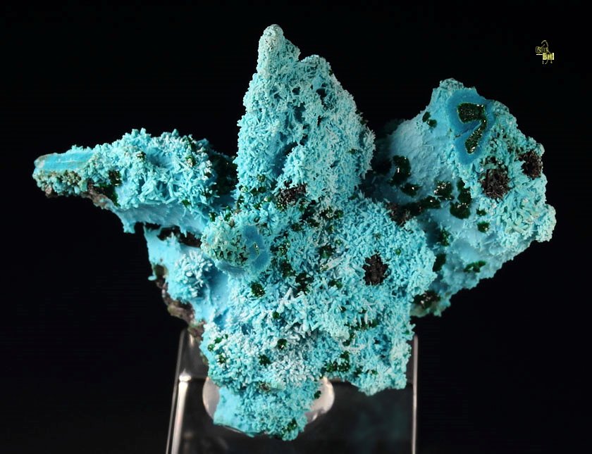 new find - AJOITE pseudomorph after AZURITE, after MALACHITE