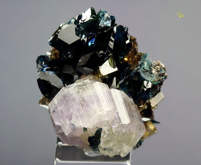 gem LAZULITE, gem FLUORAPATITE, SIDERITE, QUARTZ