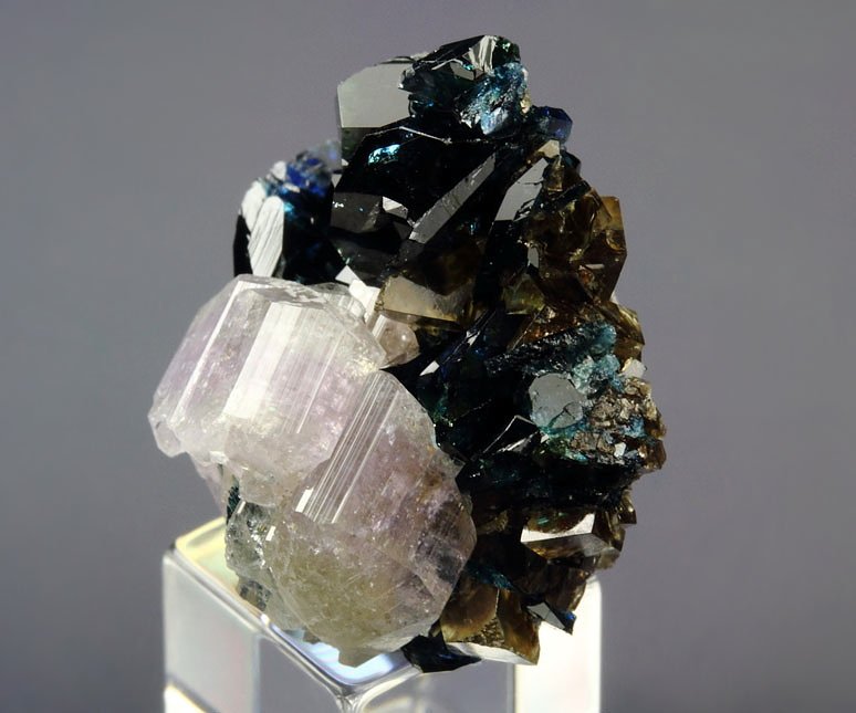 gem LAZULITE, gem FLUORAPATITE, SIDERITE, QUARTZ