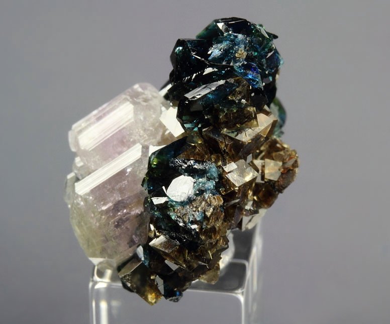 gem LAZULITE, gem FLUORAPATITE, SIDERITE, QUARTZ