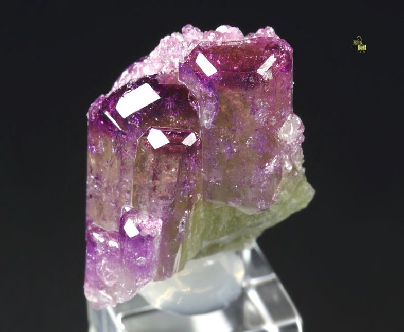 gem VESUVIANITE var. MANGANOAN