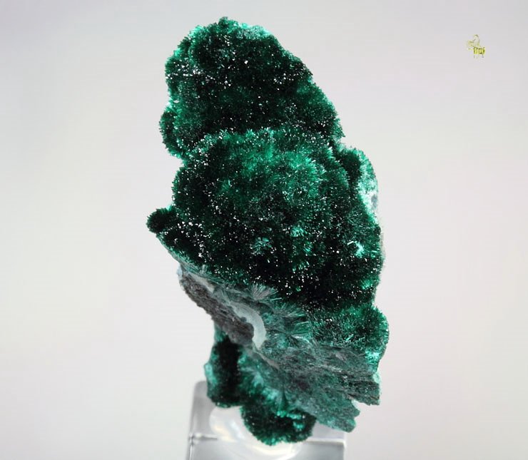 BROCHANTITE