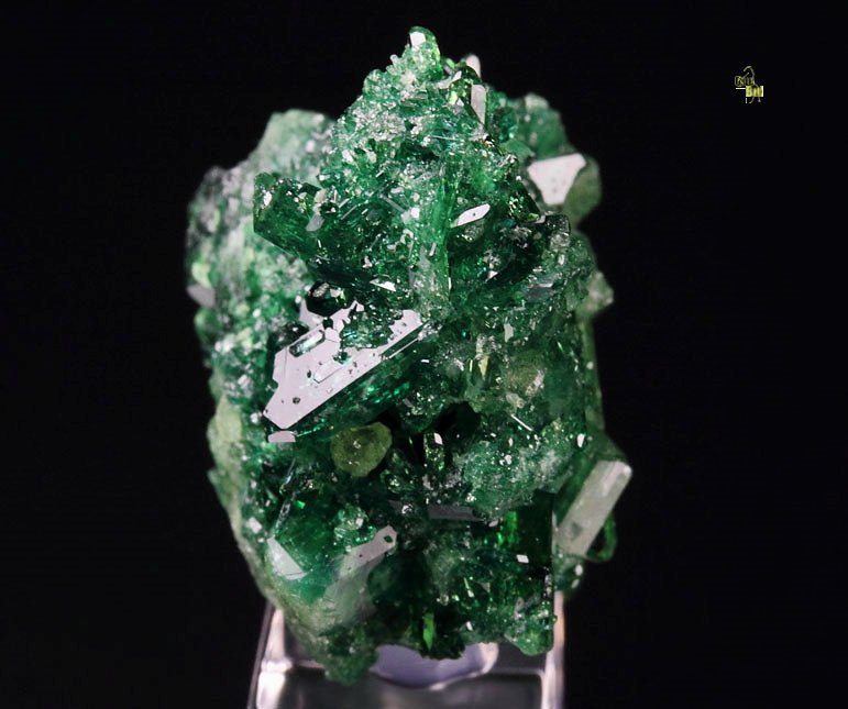 gem VESUVIANITE var. CHROMIAN